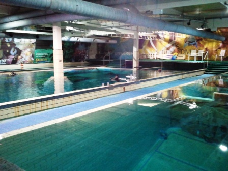 Im Divers In Aufkirchen 11